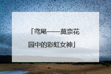 鸢尾——莫奈花园中的彩虹女神