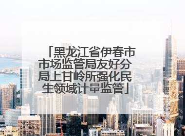 黑龙江省伊春市市场监管局友好分局上甘岭所强化民生领域计量监管
