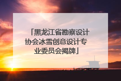 黑龙江省勘察设计协会冰雪创意设计专业委员会揭牌
