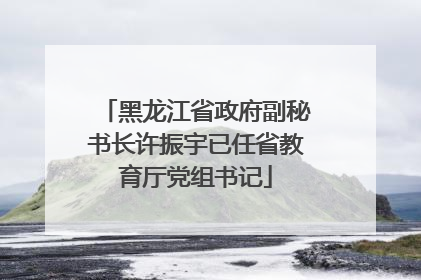 黑龙江省政府副秘书长许振宇已任省教育厅党组书记