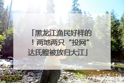 黑龙江渔民好样的！两地两只“投网”达氏鳇被放归大江