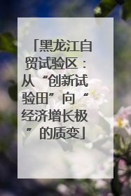 黑龙江自贸试验区：从“创新试验田”向“经济增长极”的质变