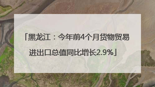 黑龙江：今年前4个月货物贸易进出口总值同比增长2.9%