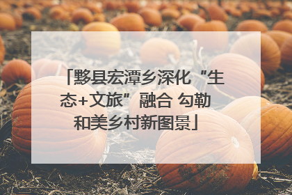 黟县宏潭乡深化“生态+文旅”融合 勾勒和美乡村新图景