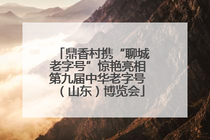 鼎香村携“聊城老字号”惊艳亮相第九届中华老字号（山东）博览会