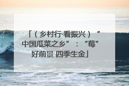 （乡村行·看振兴）“中国瓜菜之乡”：“莓”好前景 四季生金