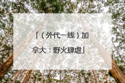 （外代一线）加拿大：野火肆虐