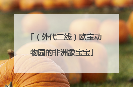 （外代二线）欧宝动物园的非洲象宝宝