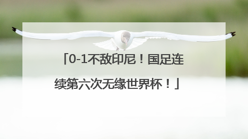 0-1不敌印尼！国足连续第六次无缘世界杯！