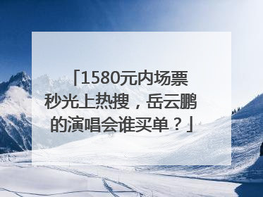 1580元内场票秒光上热搜，岳云鹏的演唱会谁买单？