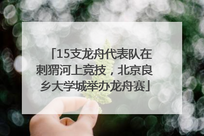 15支龙舟代表队在刺猬河上竞技，北京良乡大学城举办龙舟赛