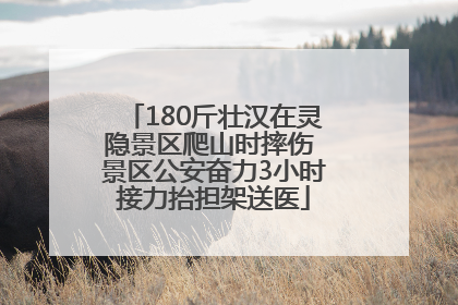 180斤壮汉在灵隐景区爬山时摔伤 景区公安奋力3小时接力抬担架送医