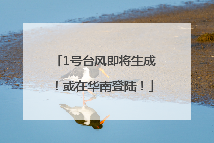 1号台风即将生成！或在华南登陆！