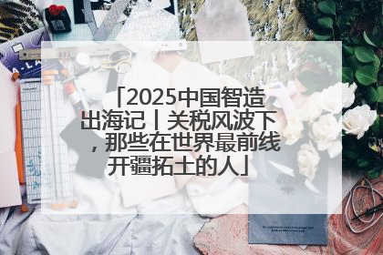 2025中国智造出海记丨关税风波下，那些在世界最前线开疆拓土的人