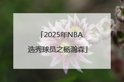 2025年NBA选秀球员之杨瀚森