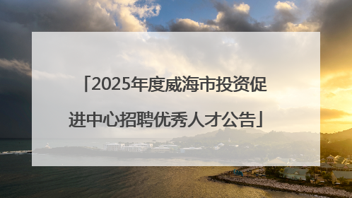 2025年度威海市投资促进中心招聘优秀人才公告