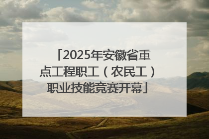 2025年安徽省重点工程职工（农民工）职业技能竞赛开幕