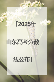 2025年山东高考分数线公布