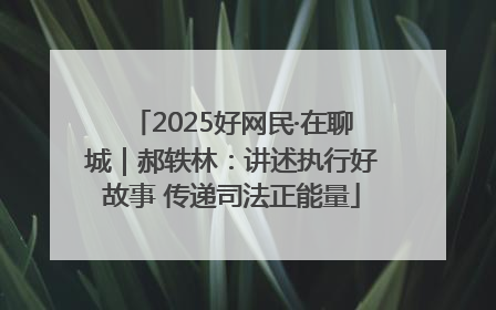 2025好网民·在聊城｜郝轶林：讲述执行好故事 传递司法正能量