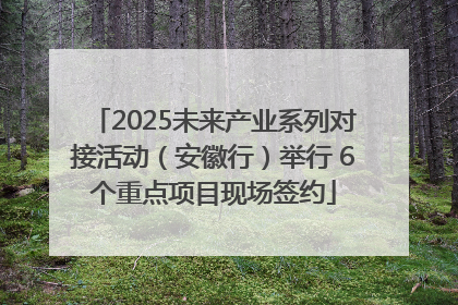 2025未来产业系列对接活动（安徽行）举行 6个重点项目现场签约