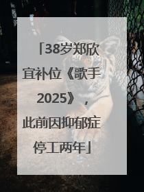 38岁郑欣宜补位《歌手2025》，此前因抑郁症停工两年