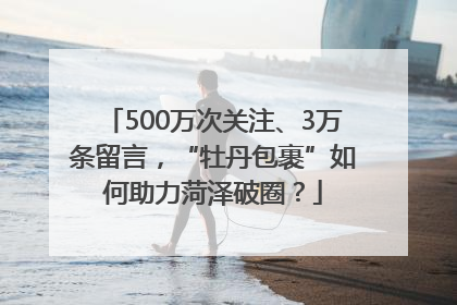 500万次关注、3万条留言，“牡丹包裹”如何助力菏泽破圈？