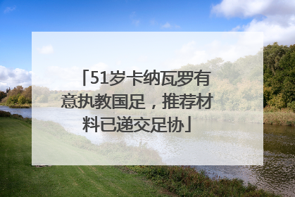 51岁卡纳瓦罗有意执教国足，推荐材料已递交足协