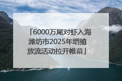 6000万尾对虾入海 潍坊市2025年增殖放流活动拉开帷幕