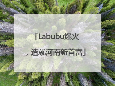 Labubu爆火，造就河南新首富