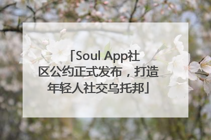 Soul App社区公约正式发布，打造年轻人社交乌托邦